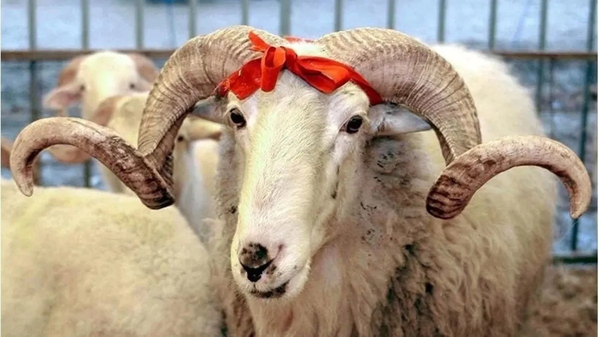 Kurban Bayramı